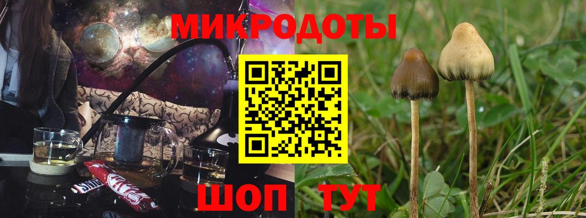 Псилоцибиновые грибы MAGIC MUSHROOMS  Вход с VPN  Ковров 